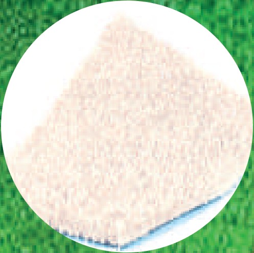 Color Blanco