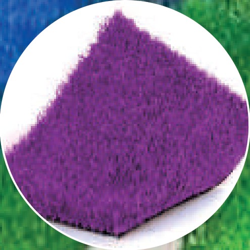 Color Púrpura